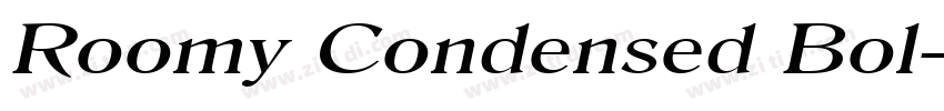 Roomy Condensed Bol字体转换